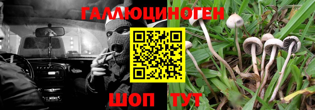 Псилоцибиновые грибы Magic Shrooms Ейск